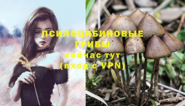 синтетический гашиш Алексеевка