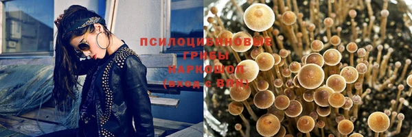 синтетический гашиш Алексеевка