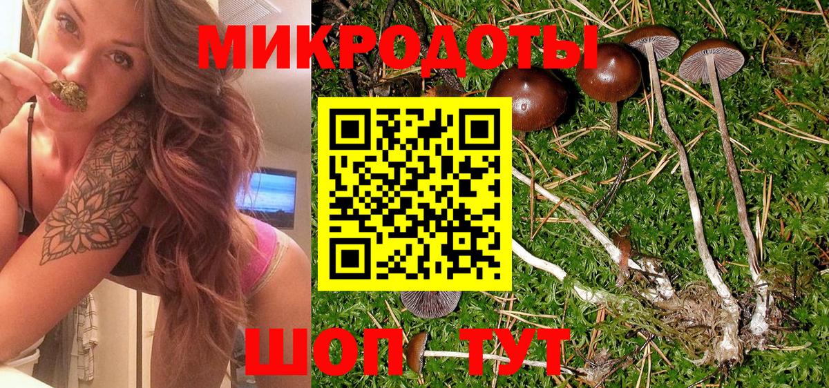 Псилоцибиновые грибы ЛСД  Галлюциногенные грибы Psilocybine cubensis  Вход с VPN  Красногорск 